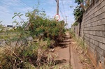 Moradores pedem que seja feito o corte de mato no local