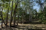 Horto de Tupi é utilizado, hoje, para a prática de atividades físicas, de lazer e de educação ambiental / Créditos: Isabela Borghese