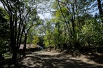 Horto de Tupi é utilizado, hoje, para a prática de atividades físicas, de lazer e de educação ambiental / Créditos: Isabela Borghese