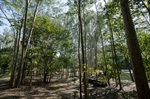 Horto de Tupi é utilizado, hoje, para a prática de atividades físicas, de lazer e de educação ambiental / Créditos: Isabela Borghese