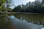 Horto de Tupi é utilizado, hoje, para a prática de atividades físicas, de lazer e de educação ambiental / Créditos: Isabela Borghese