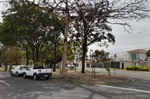 Solicitações foram encaminhadas ao Executivo pelo vereador