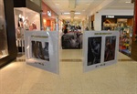 Visitas seguem até 3 de setembro, quando Shopping sedia desfile de moda