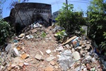 Degradação ambiental preocupa moradores e comerciantes da Paulista