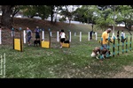 Vereador Pedro Kawai apresenta projeto de área de recreação para cães