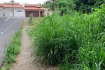 Vereador pedem urgência no corte do mato, capina e limpeza em seis áreas localizadas nos bairros Jd. Brasília e Santa Cecília