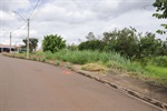 Regina da Conceição Ribeiro Machi pede urgência no corte do mato na área verde na rua Elza Matico Donomae