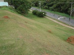 área verde do Jaraguá