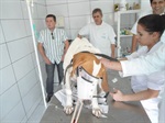 Trevisan com cachorro em atendimento 
