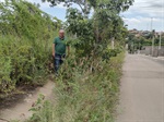 Pedestres utilizam rua devido o mato em calçadas no bairro São José