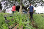 A pedido de moradores, vereador Acácio Godoy vistoriou as condições de espaço esportivo no bairro Cecap