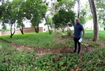 Moradores reivindicam revitalização de área arborizada pelos próprios vizinhos