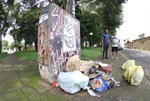 Moradores reivindicam revitalização de área arborizada pelos próprios vizinhos