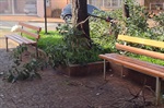 Vereador destaca revitalização da praça Takaki