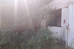 imóvel aparentemente abandonado, na Rua Frei Honório Franco
