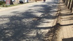 Buracos na Avenida das Ondas cria riscos aos motoristas