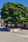 Gustavo Pompeo em visita a escolas do município nesta quinta-feira (13)