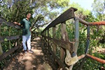 Ponte detonada prejudica moradores do Diamante e Altos de Piracicaba