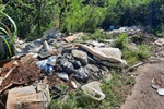 Moradores do Jardim Nova Agua Branca II pedem capinação e limpeza em área verde