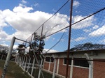 Paulo Campos pede reforma de campo de futebol no Jardim Caxambu
