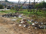 Moschini pede limpeza em área ao lado do Cemitério da Vila Rezende
