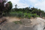 Área verde: local onde a iluminação era escassa