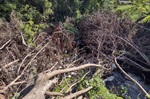 A pedido de moradores, vereador percorreu bairros com o secretário de Obras