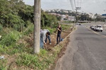 Moradores reivindicaram os serviços na avenida Raposo Tavares em busca de mais segurança