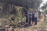 Moradores solicitaram limpeza de área verde e redutor de velocidade em avenida