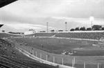 Estádio Barão de Serra Negra