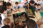 Vereador Pedro Kawai conhece projeto Ser verde: práticas ecológicas comunitárias, desenvolvido por alunos da Escola Municipal Joaquim Carlos Alexandrino de Souza
