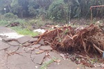 Moradores solicitam melhorias em área de lazer do bairro Terra Nova