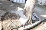 Vereador visitou bairro na tarde de quinta-feira (10)