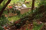 Imagem mostra córrego do Enxofre, no bairro Tatuapé, antes do serviço de limpeza
