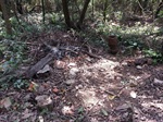 Margem do Rio Piracicaba  - Bongue 