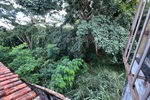 Vereador pede manutenção em área verde no bairro Castelinho