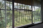 Vereador pede manutenção em área verde no bairro Castelinho