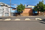 Vereador acolhe demandas do bairro Paulista