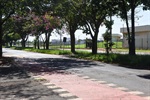 Alças na Antonio Elias podem facilitar acesso ao Hospital Regional
