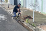 Vereador Fabricio Polezi fiscalizou a retirada de resíduos deixados em calçada