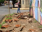Troca de calçada foi solicitada por meio de ofício. 