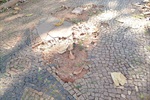 Vereador aponta serviços de manutenção em praça