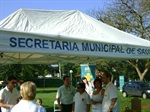 Parque da Rua do Porto concentrou atividades