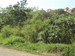 Rua Itararé -  bairro Tatuapé