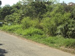 Rua Itararé -  bairro Tatuapé