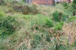 Área verde com mato alto no bairro castelinho