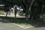 ...do canteiro central da avenida Joaquim Perosi foi cortado