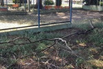 Vereador solicita melhorias em praça no Serra Verde