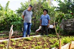 Horta do sr. Tatu: espaço de aprendizado e preservação do meio ambiente