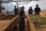 Vereador acompanha alunos da ETEC em visita ao Viveiro Municipal de Piracicaba
